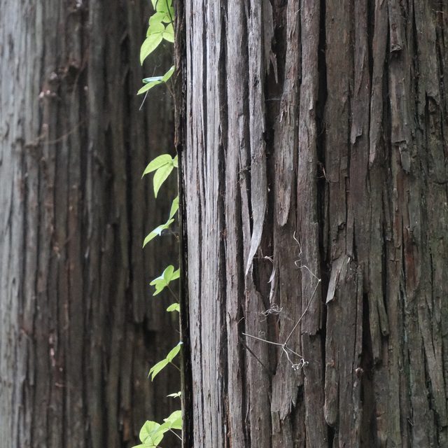 Untitled photo