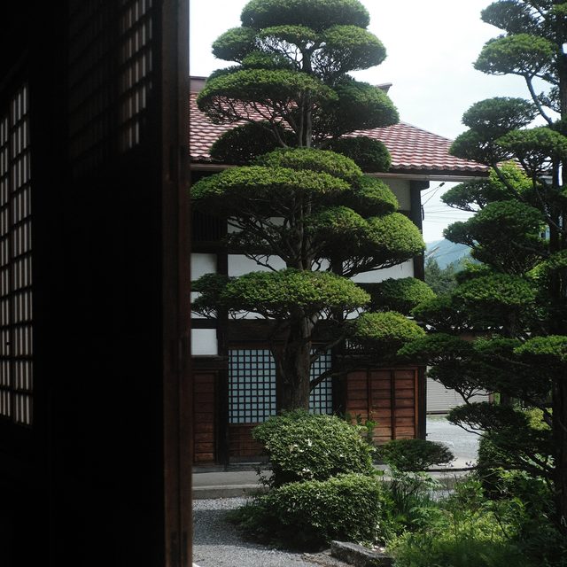 an oasis of peace