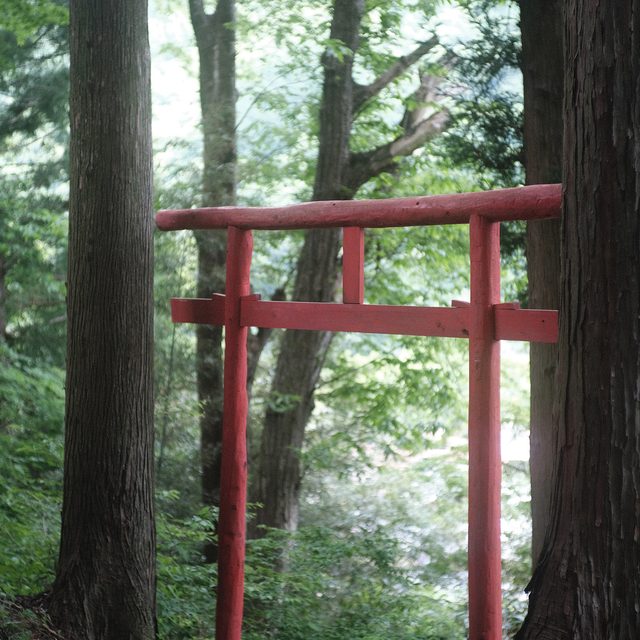 A red Tori in the forrest on the hills of Narai-juku