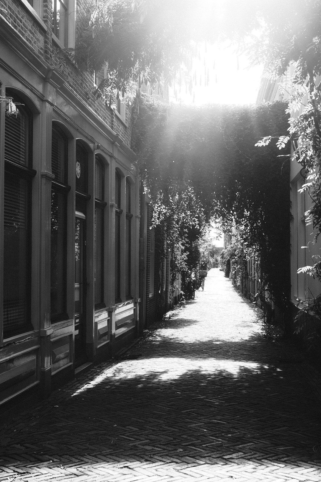 charming little alley :)