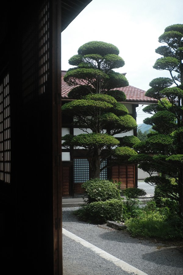 an oasis of peace