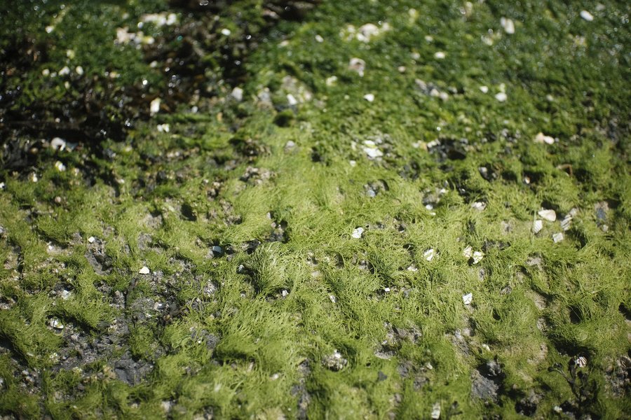 textures of the seaside