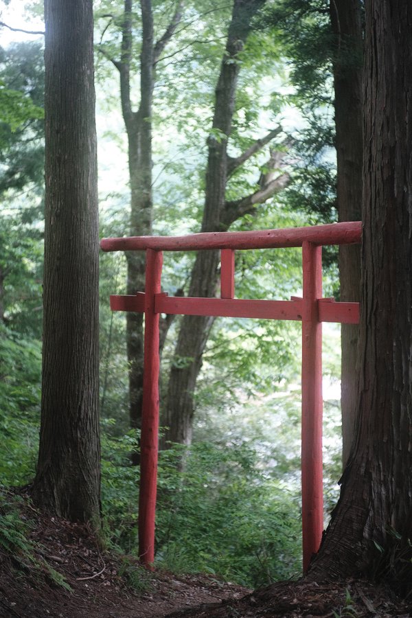 A red Tori in the forrest on the hills of Narai-juku